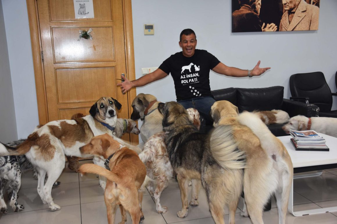 Fabrikasını can dostlarına açtı: 36 köpek, 7 kedi var