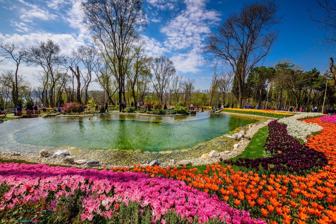 emirgan-korusu-istanbul