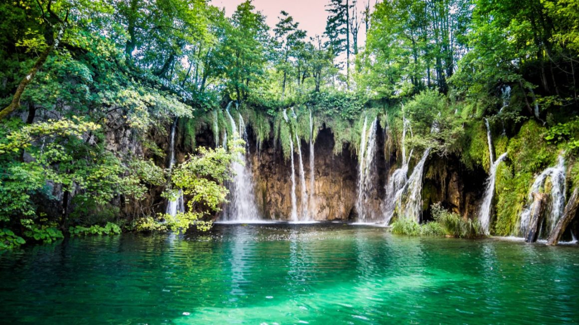 kaz-daglari-gezisi-kapak