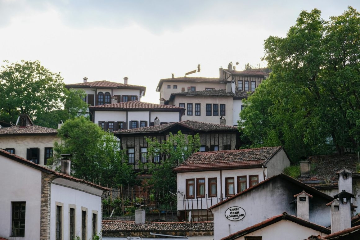 pexels-fotoğrafınruhu-16793876 (1)