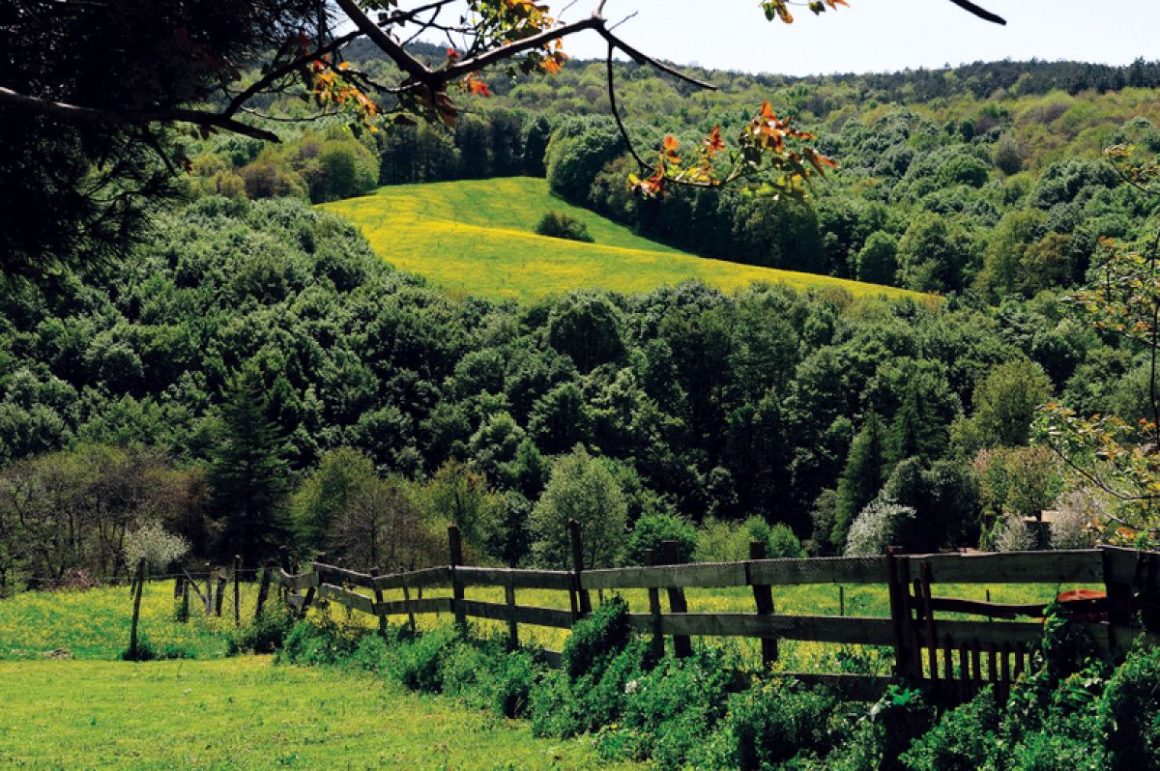 polonezkoy-tabiat-parki